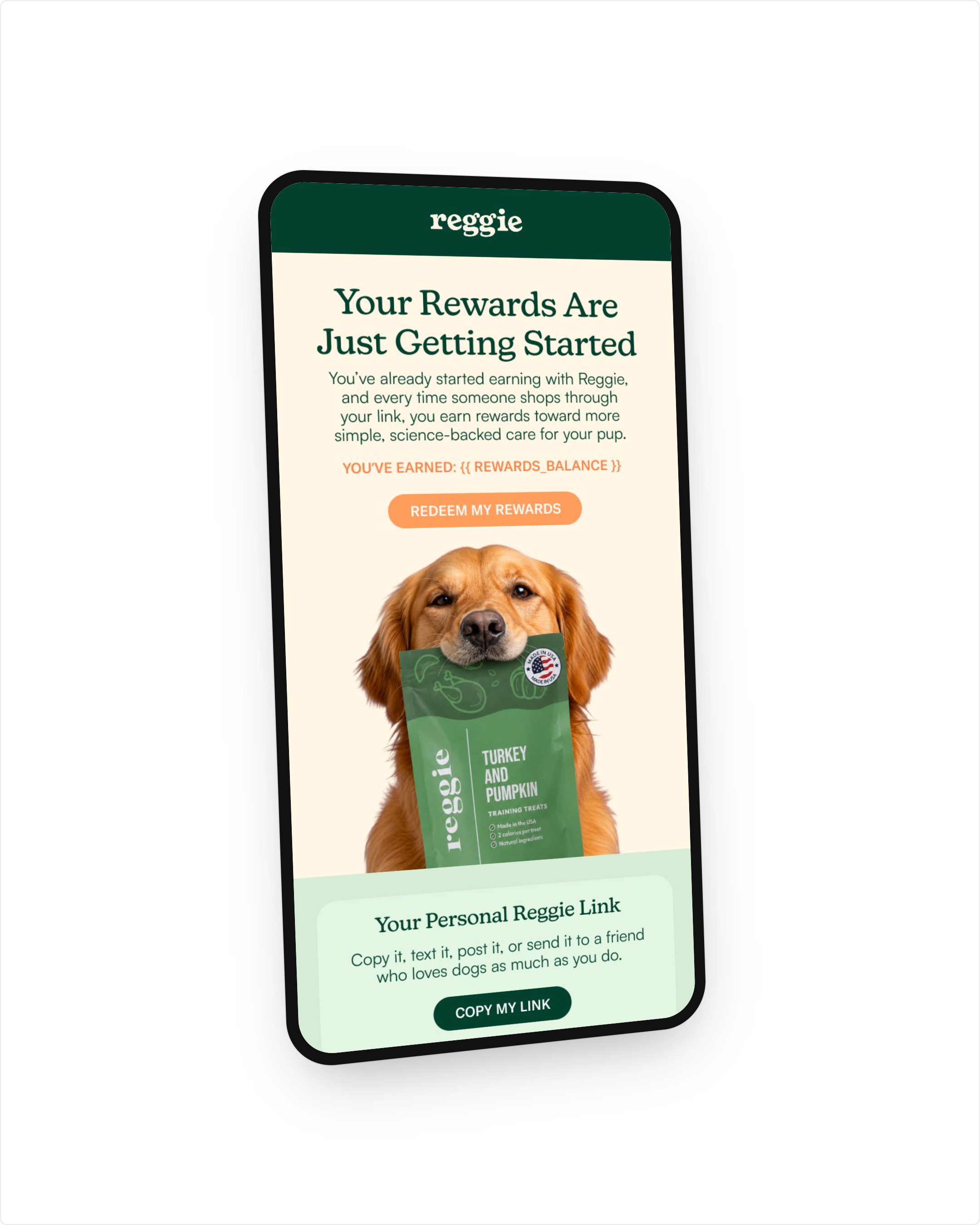 Reggie rewards email